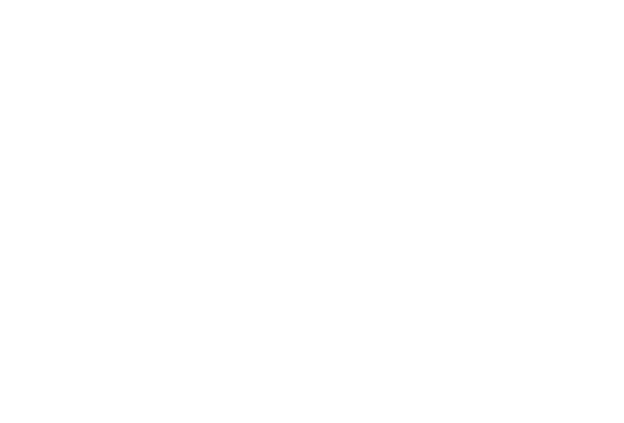 Farruggio