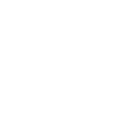 Bera motors 