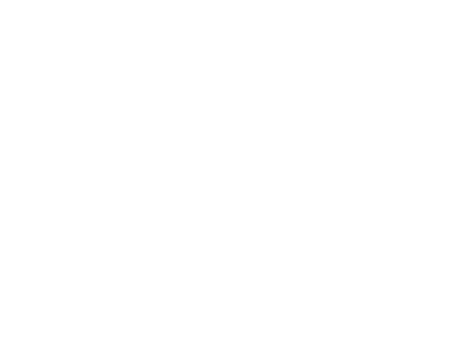 Zoom Digital