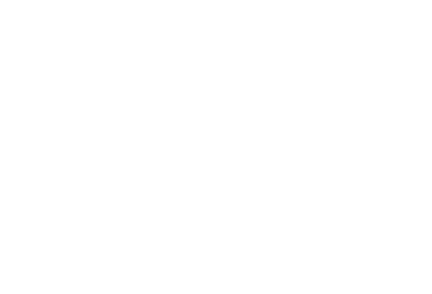 Zoom Digital